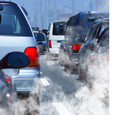 Le charbon végétal actif est une protection puissantes contre les particule fines et la pollution.